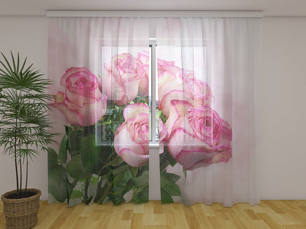 Foto Tende Fiori Cascanti Bellezza Rosa – IlyDecor