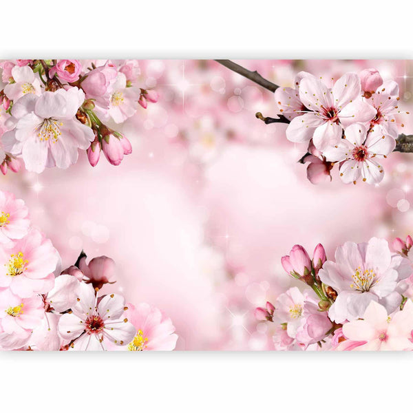 Carta da parati - Spring Cherry Blossom