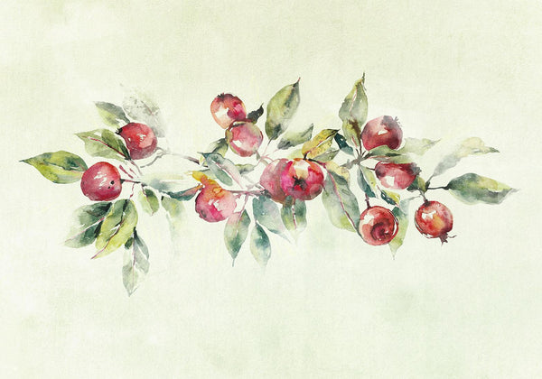 Carta da parati - Apple branch - delicate landscape with a plant and apples on a white background