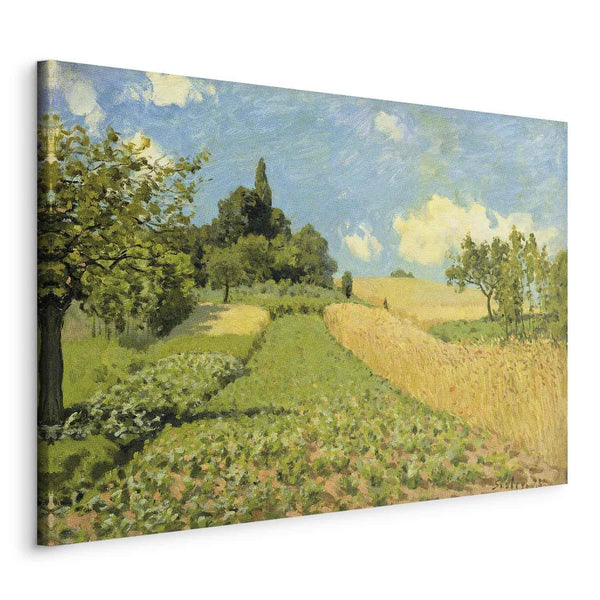 Quadro - The Cornfield (near Argenteuil) (Alfred Sisley)