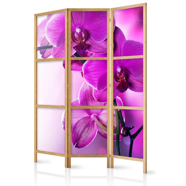 Paravento giapponese - Violet Orchids I