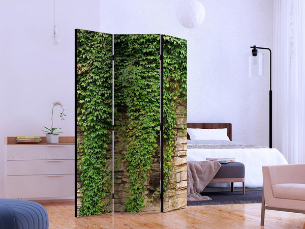 Paravento - Ivy wall [Room Dividers]