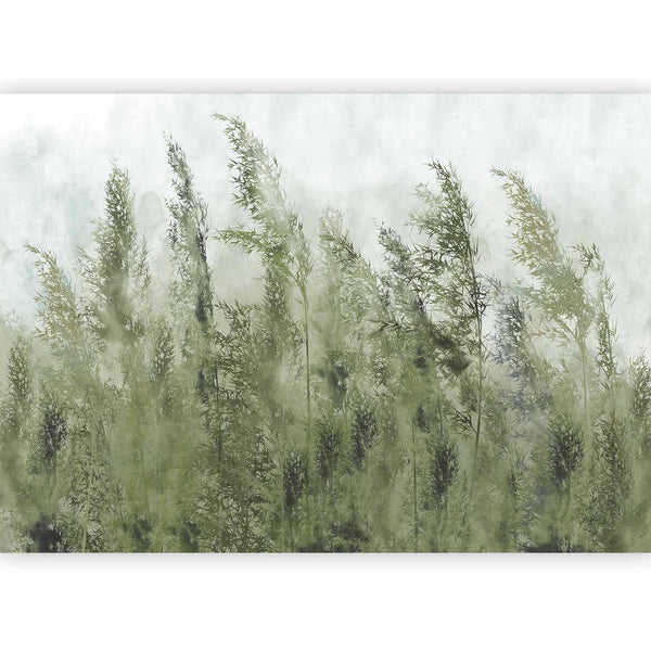 Fotomurale - Tall Grasses - Green