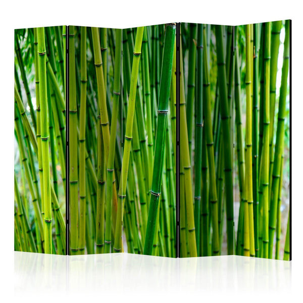 Separè per interni - Bamboo Forest II [Room Dividers]