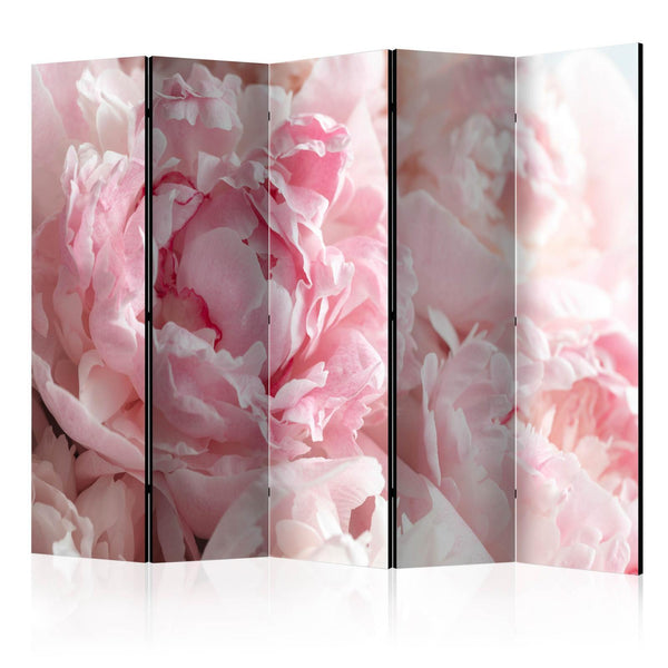 Separè per interni - Sweet Peonies II [Room Dividers]