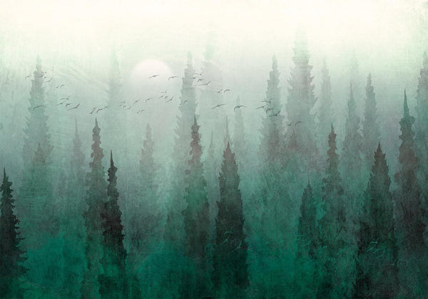 Carta da parati - Bird's eye perspective - landscape of a green forest with trees in the mist