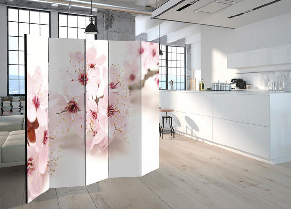 Separè per interni -  Cherry Blossom II [Room Dividers]