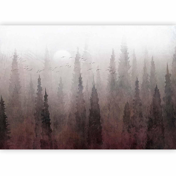 Carta da parati - Bird's flight over treetops - landscape of a dark forest in fog