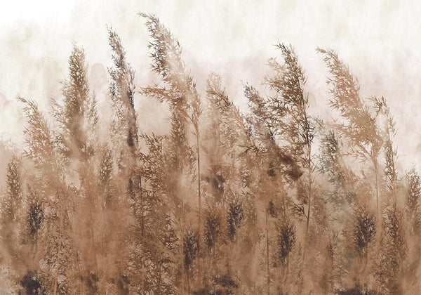 Fotomurale - Tall Grasses - Brown