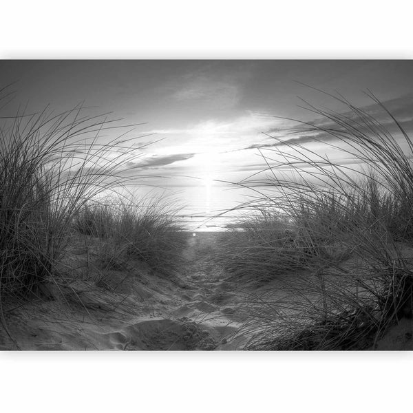 Carta da parati - beach (black and white)