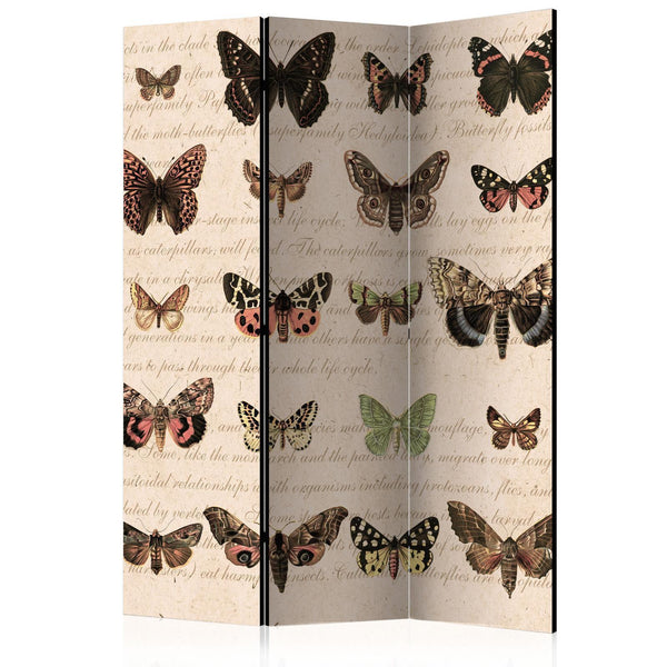 Separè per interni - Retro Style: Butterflies [Room Dividers]