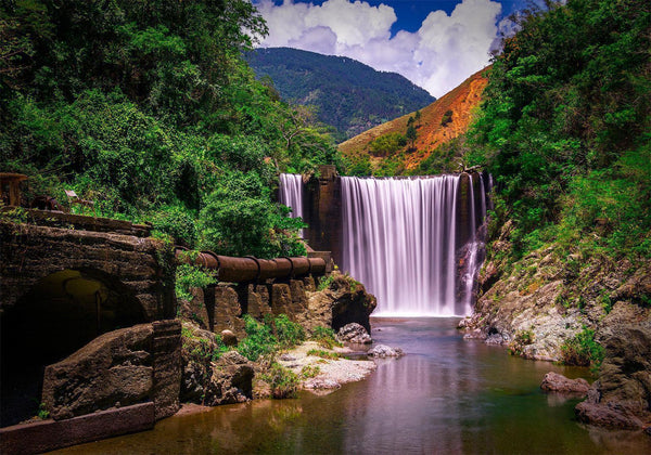 Carta da parati - Reggae Falls