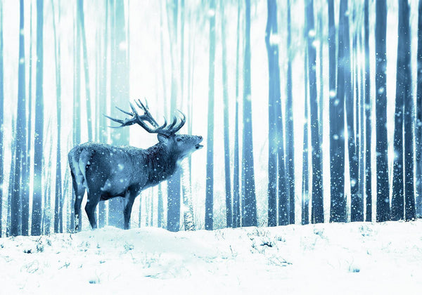 Fotomurale - Deer in the Snow (Blue)