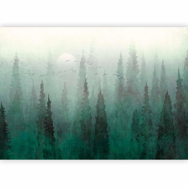 Carta da parati - Bird's eye perspective - landscape of a green forest with trees in the mist