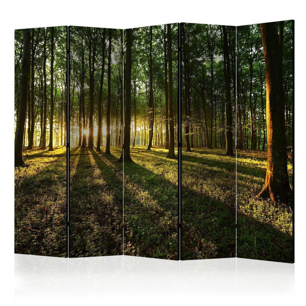 Separè per interni - Morning in the Forest II [Room Dividers]