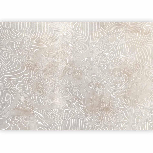 Carta da parati - Flowing shapes - abstract beige and white background in patterned compositions