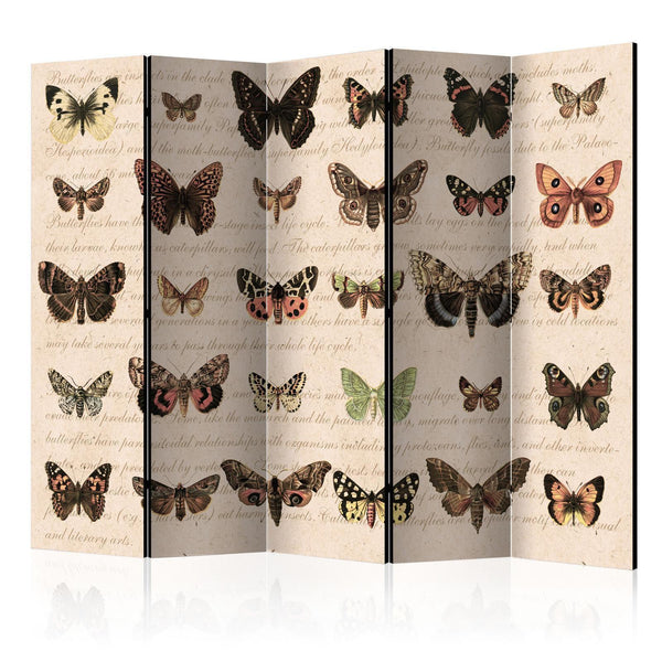 Separè per interni - Retro Style: Butterflies II [Room Dividers]