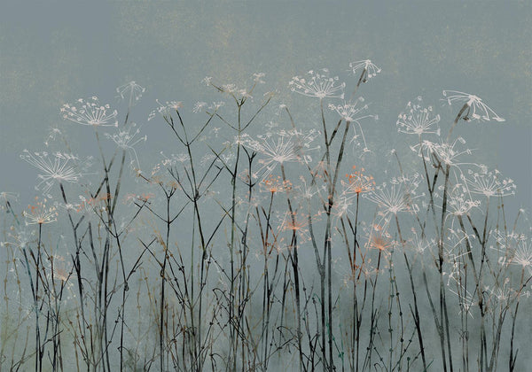 Fotomurale - Garlic Flowers