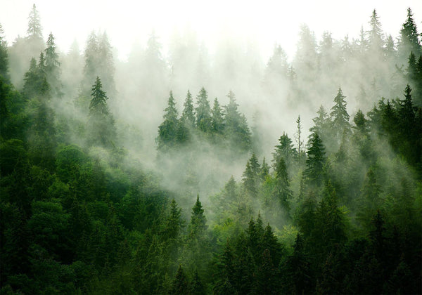 Fotomurale - Mountain Forest (Green)