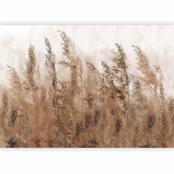 Fotomurale - Tall Grasses - Brown