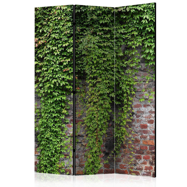 Paravento - Brick and ivy [Room Dividers]