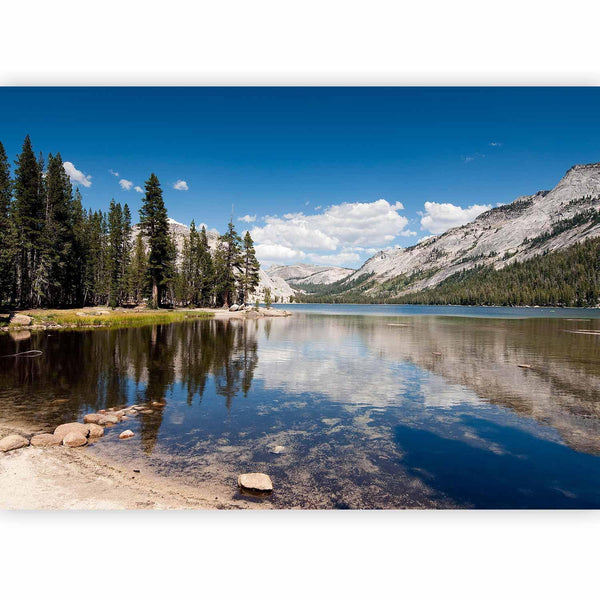 Fotomurale - Tenaya Lake