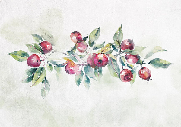 Carta da parati - Apple branch - landscape with a plant and red apples on a white background