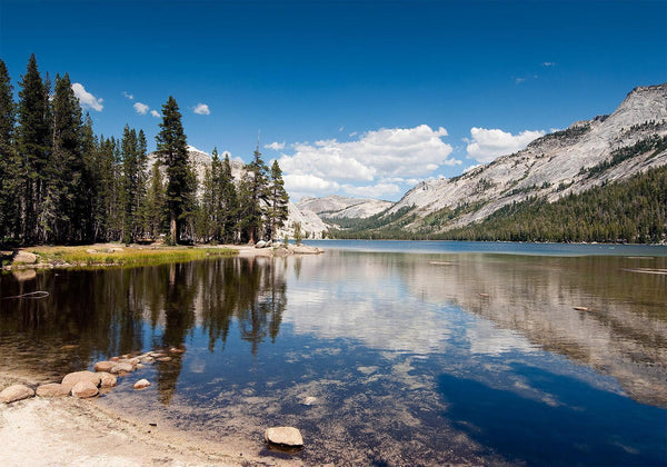 Fotomurale - Tenaya Lake