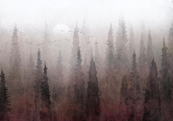 Carta da parati - Bird's flight over treetops - landscape of a dark forest in fog