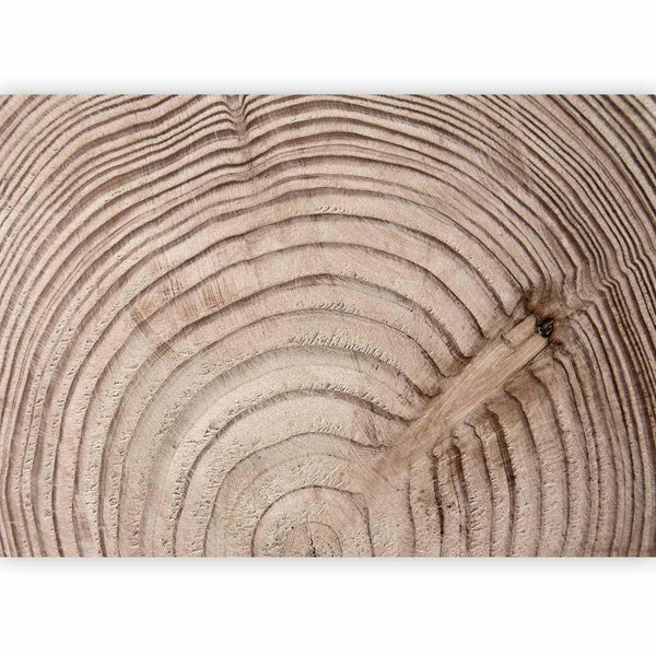 Carta da parati effetto legno - Cerchio d'albero