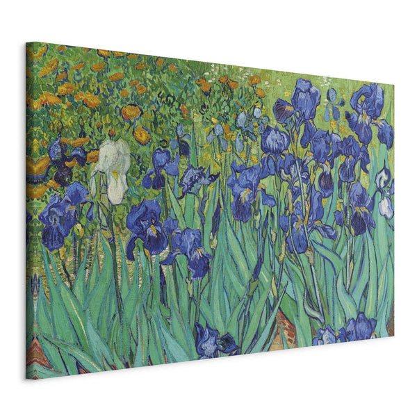 Quadro - Irises - Van Gogh