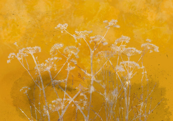 Fotomurale - Meadow Bathed in the Sun