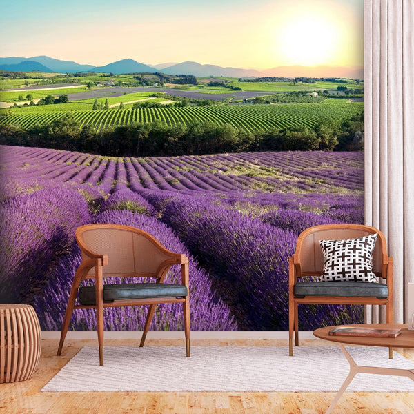 Fotomurale - Lavender Field