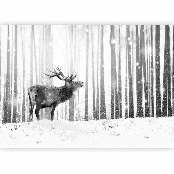 Fotomurale - Deer in the Snow (Black and White)