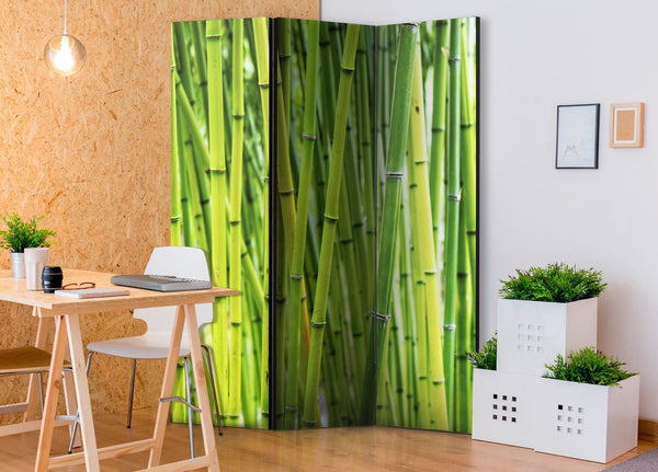 Separè per interni - Bamboo Forest [Room Dividers]