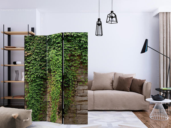 Paravento - Ivy wall [Room Dividers]