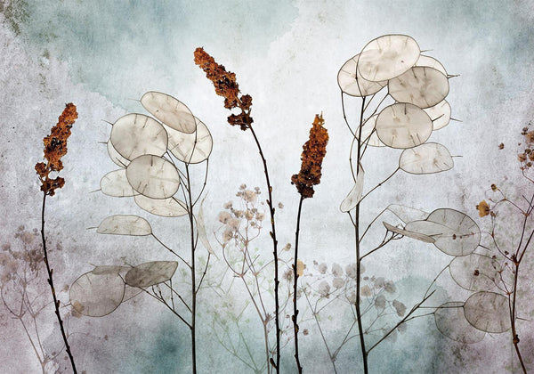 Fotomurale - Lunaria in the Meadow