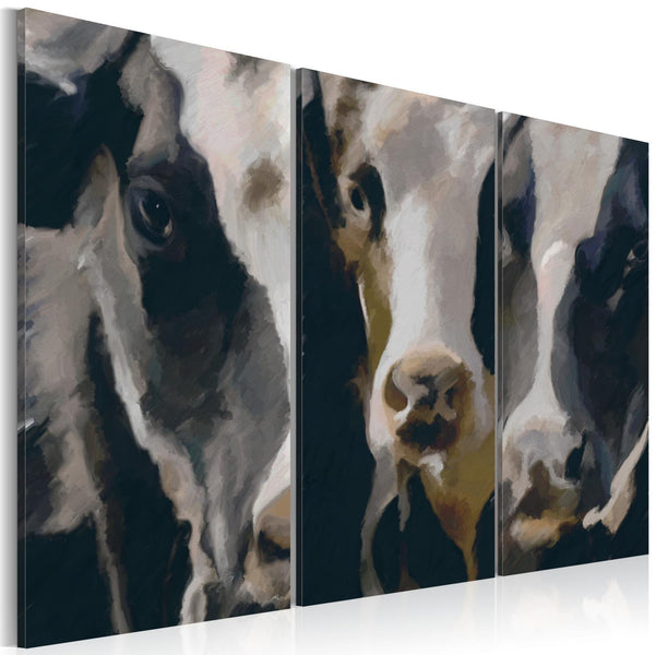 Quadro - Piebald cow