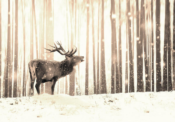 Fotomurale - Deer in the Snow (Sepia)