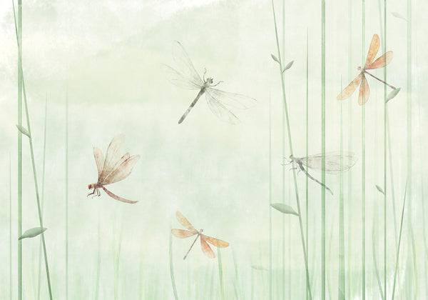 Carta da parati - Dragonflies in the Meadow