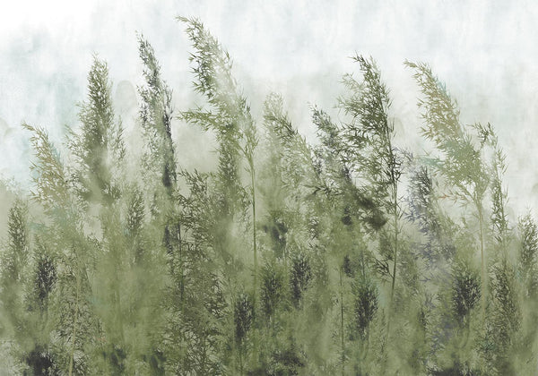 Fotomurale - Tall Grasses - Green