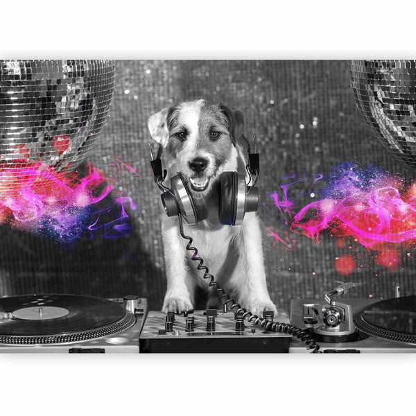 Fotomurale - DJ Dog