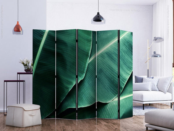 Separè per interni - Banana Leaf II [Room Dividers]