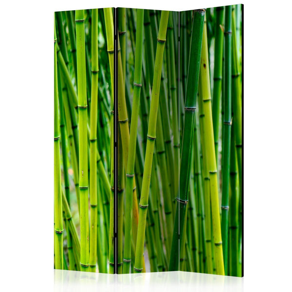 Separè per interni - Bamboo Forest [Room Dividers]