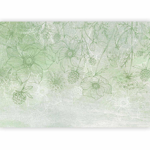 Carta da parati - Flowery meadow - nature with field flowers lineart on green background