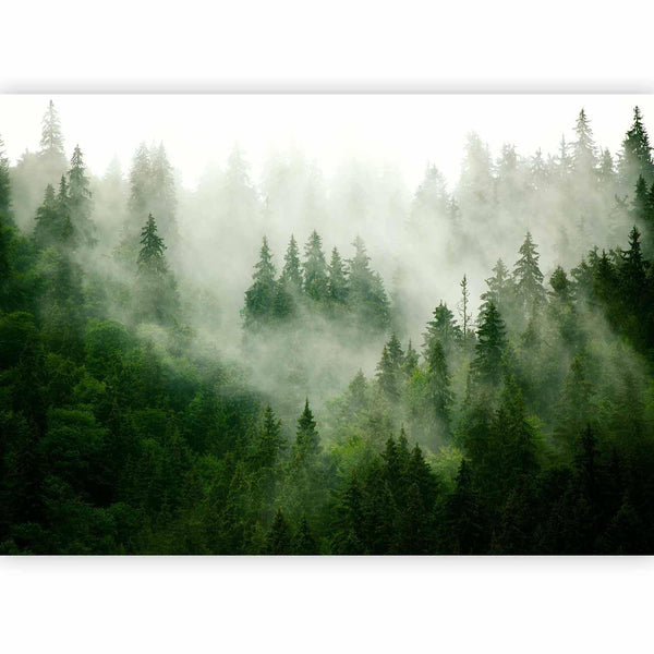 Fotomurale - Mountain Forest (Green)