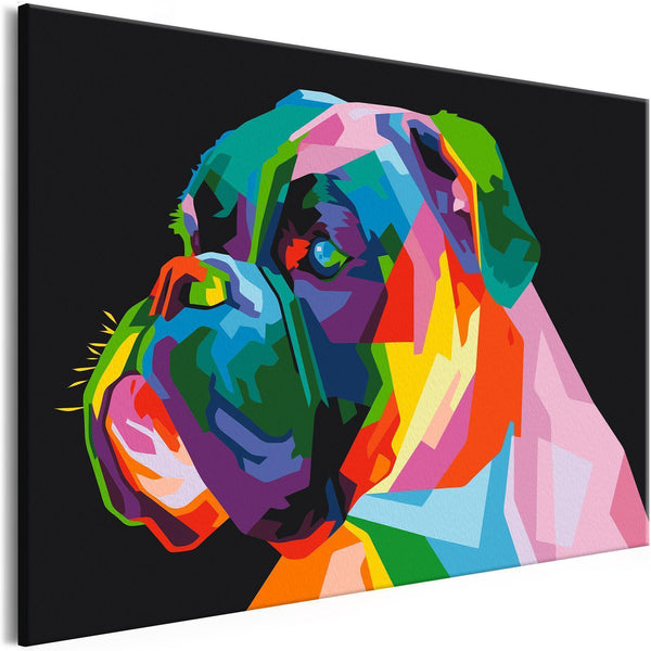 Quadro fai da te - Colourful Boxer