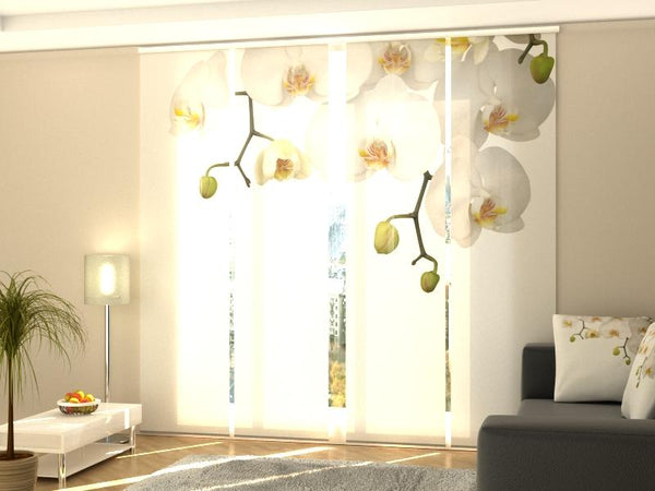 Set di 4 Tende a Pannello Grandi Orchidee