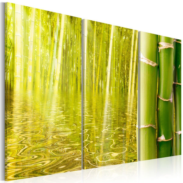 Quadro su tela - Bambu' riflesso in uno specchio d'acqua