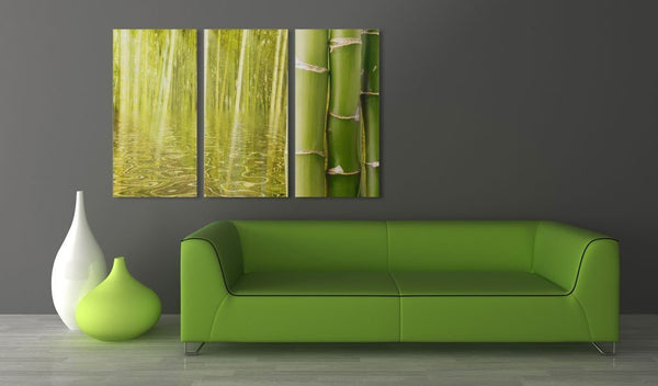 Quadro su tela - Bambu' riflesso in uno specchio d'acqua